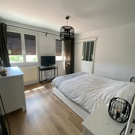 Apartment Camilia - T3 Standing Climatise - 5min Comedie *
