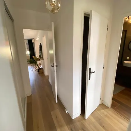 Apartment Camilia - T3 Standing Climatise - 5min Comedie *